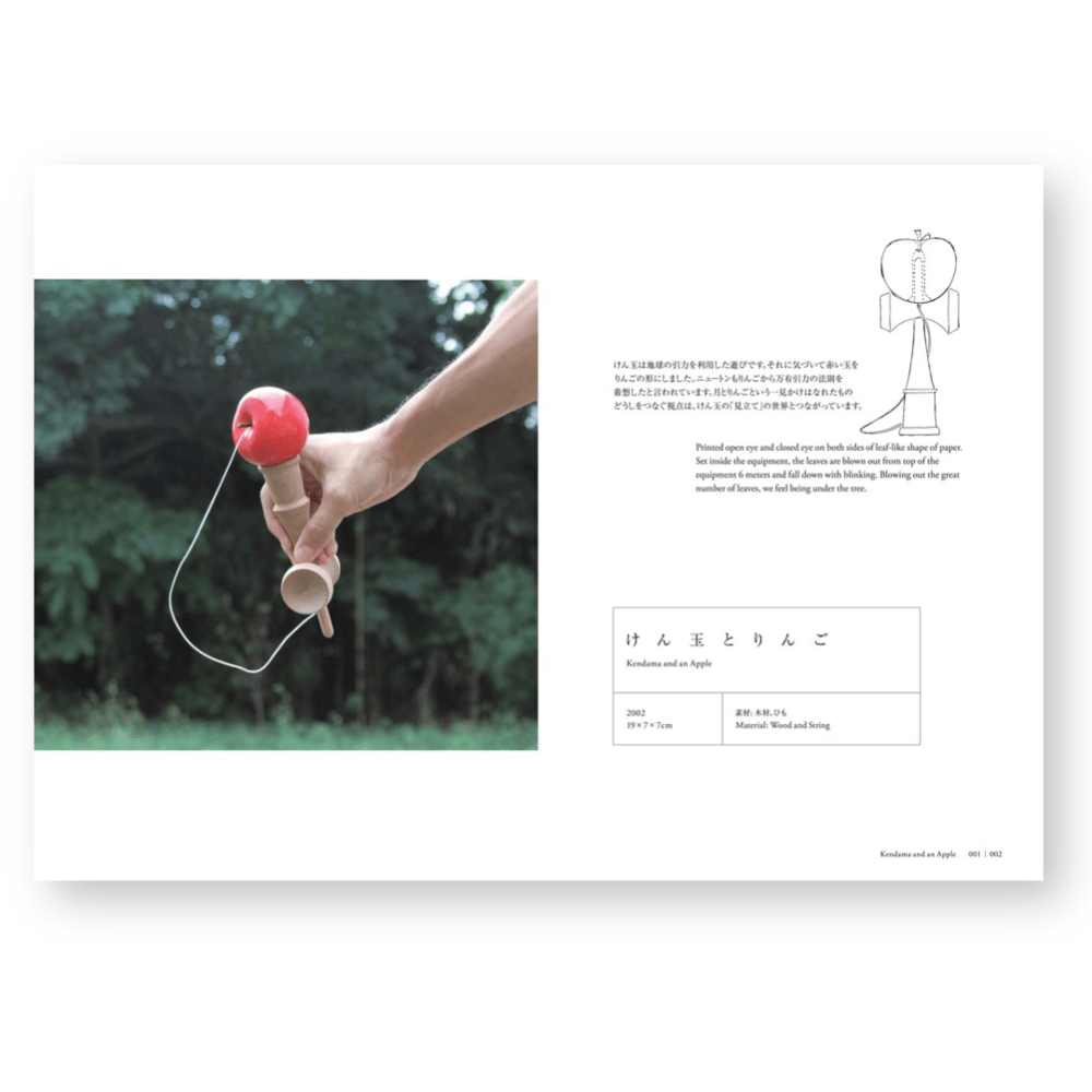 Blinking and Flapping | Un libro sobre la curiosidad y el arte de descubrir posibilidades4