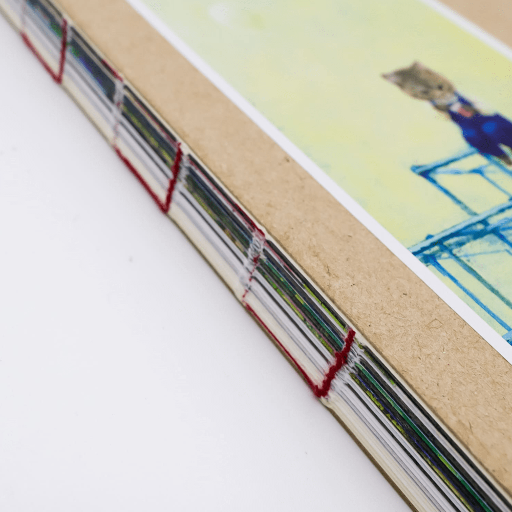 Cat´s at every turn de Naoko Machida2
