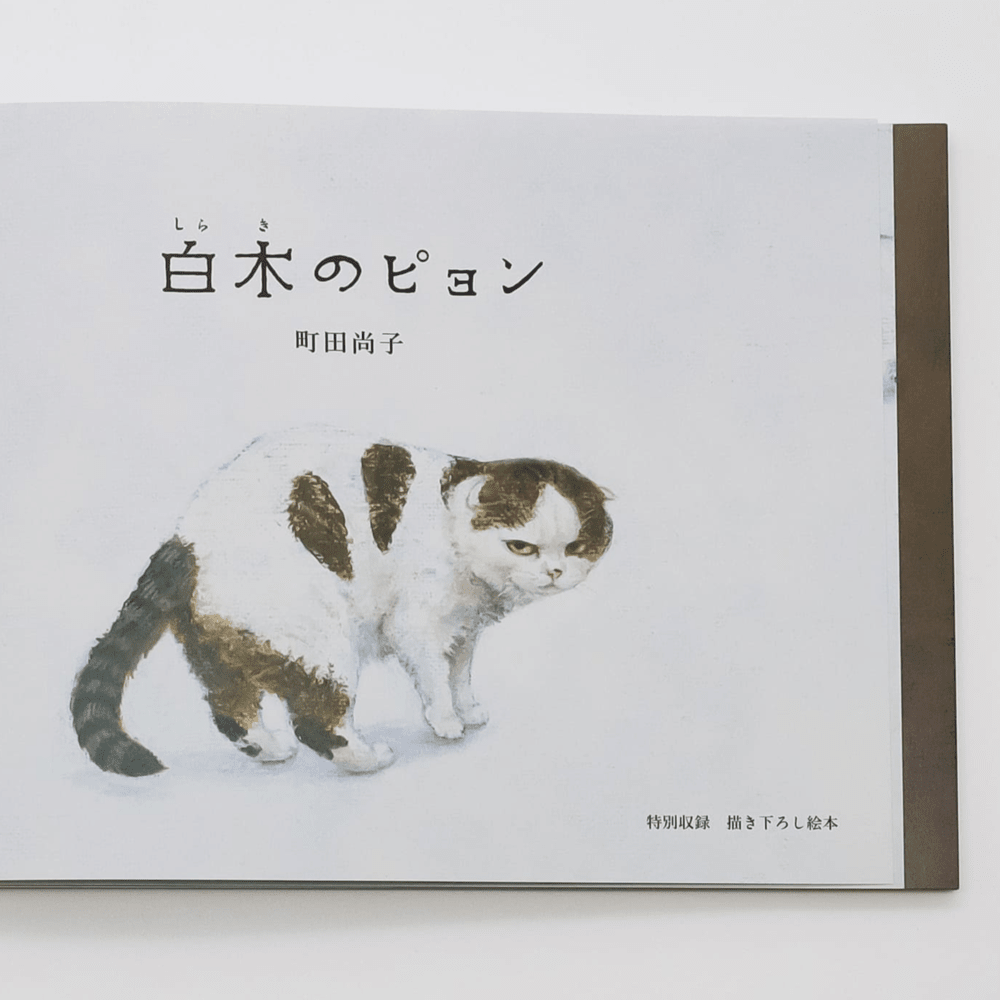 Cat´s at every turn de Naoko Machida6