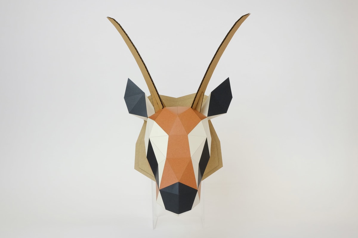 Gacela 3D M - Armable WALL KAKUKAKU2
