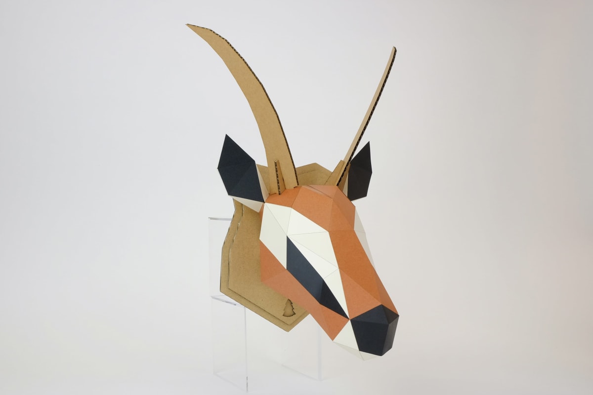 Gacela 3D M - Armable WALL KAKUKAKU3