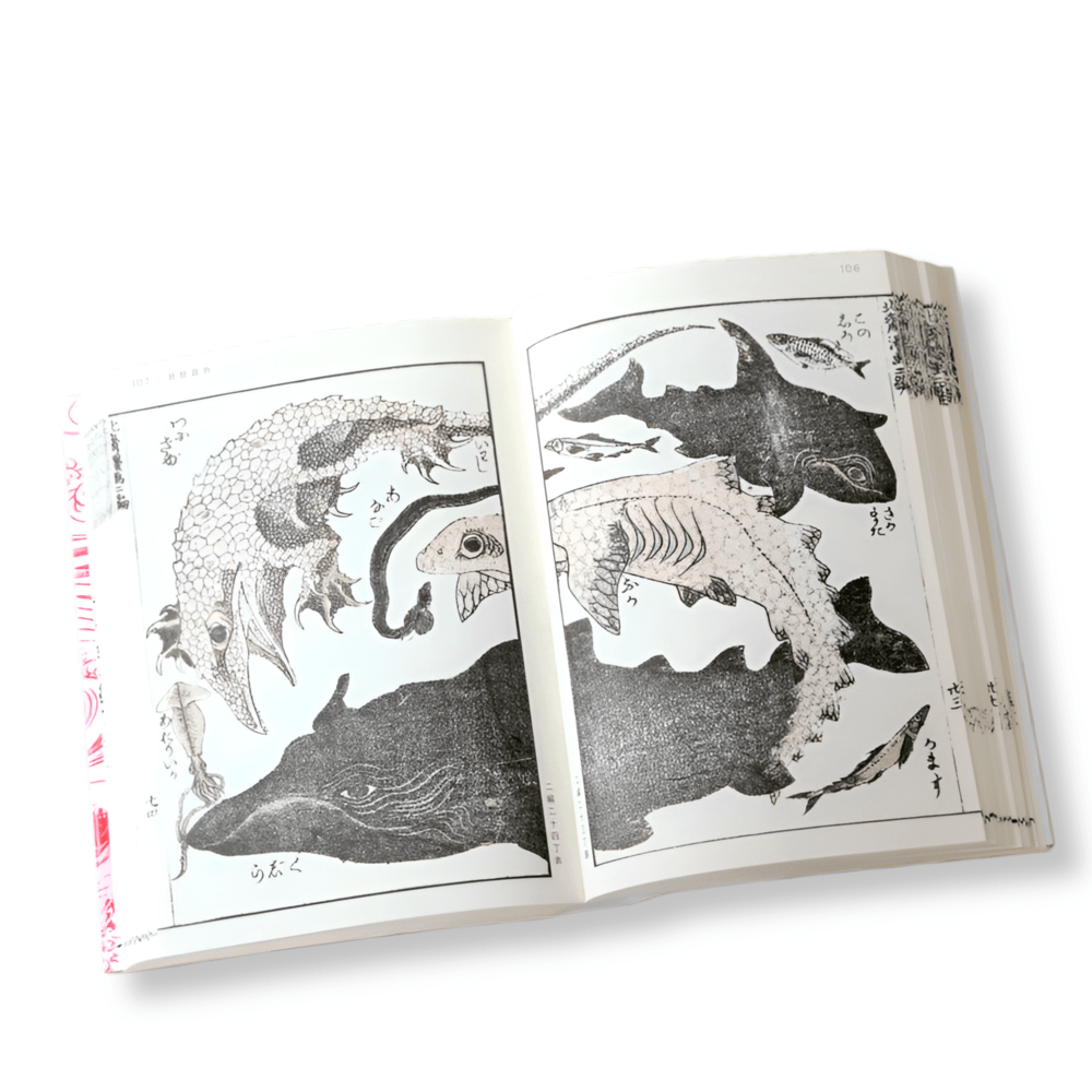 Hokusai Manga Vol 2: The whole earth catalogue3