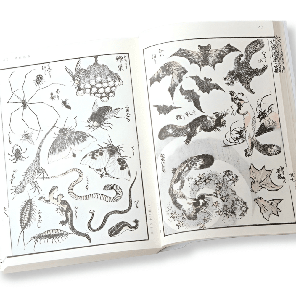 Hokusai Manga Vol 2: The whole earth catalogue5