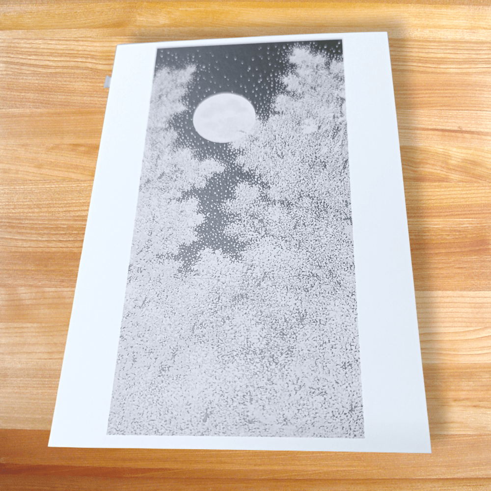 Postales japonesas: Paisajes de Kioto de Teruhide Kato3