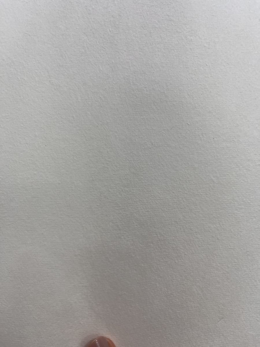 Pliego grande de washi1