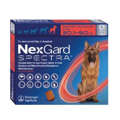 NEXGARD SPECTRA 30-60 KILOS 1 COMPRIMIDO
