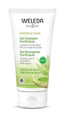 GEL LIMPIADOR PURIFICANTE 100ML