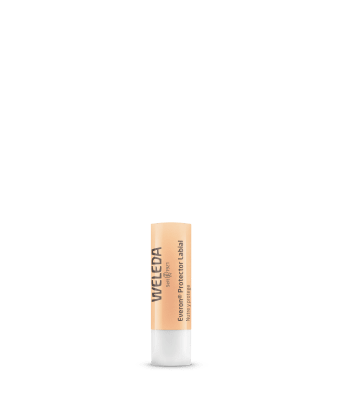 PROTECTOR LABIAL EVERON 4.8G1