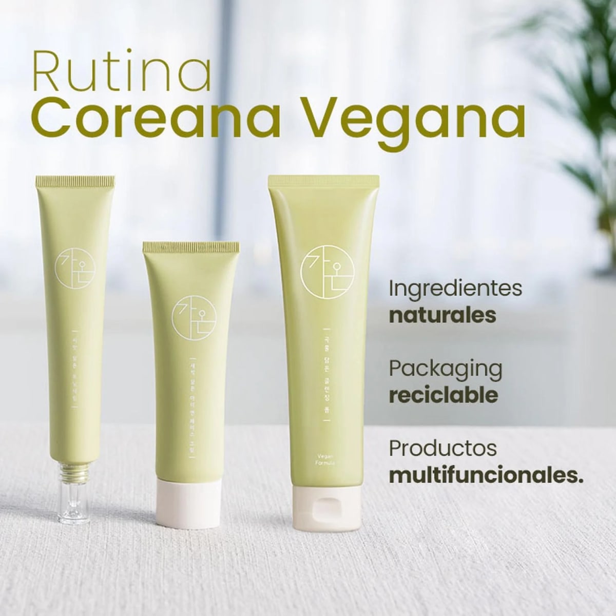 SET GAON RUTINA COMPLETA2