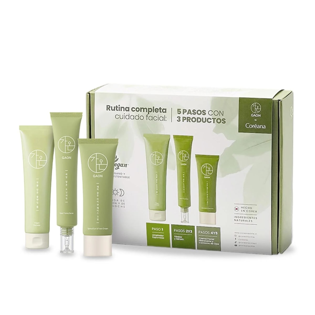SET GAON RUTINA COMPLETA 2
