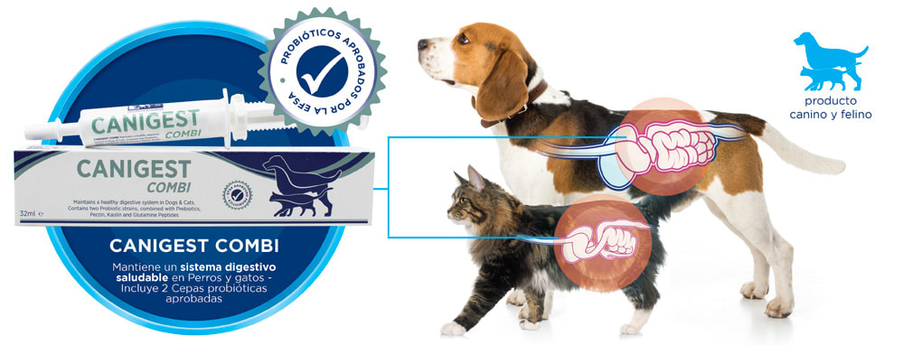 CANIGEST COMBI 16 ML1