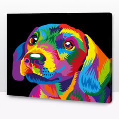 Kit Pintar por números Guau guau beagle 40x50 cm