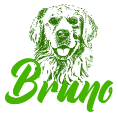 Bruno