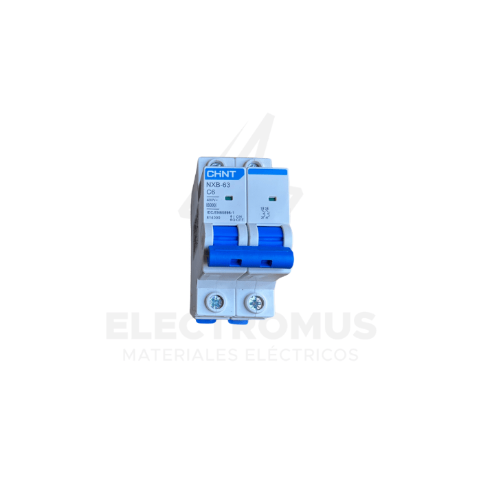 INTERRUPTOR 2PX6A 6KA, CURVA C NXB-63 CHINT1
