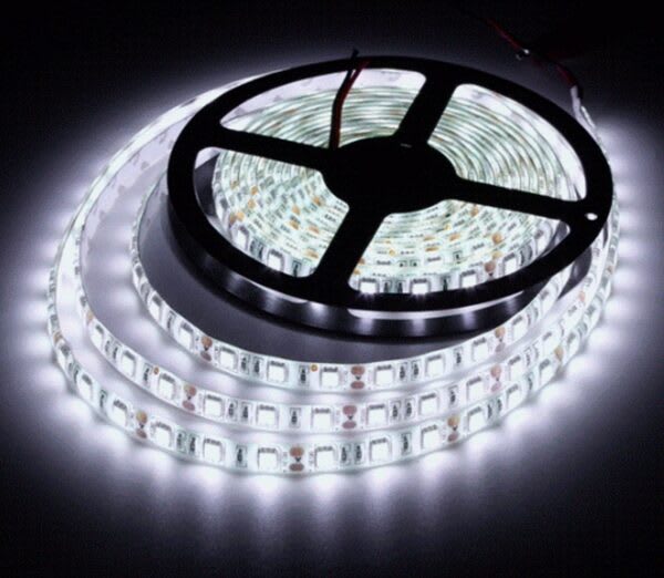 Cinta Led Blanca 12v 5mt. 0