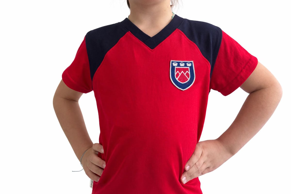 Polera manga corta Colegio los Andes1