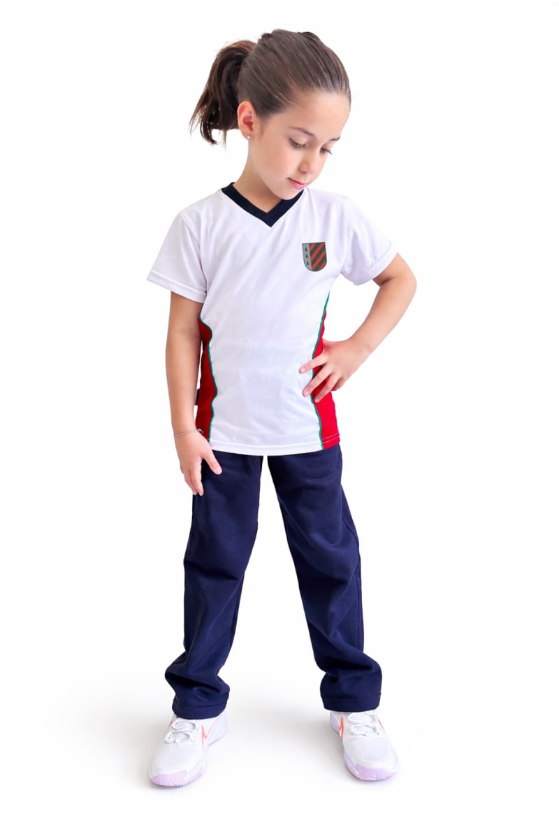 Polera Colegio Los Alerces1