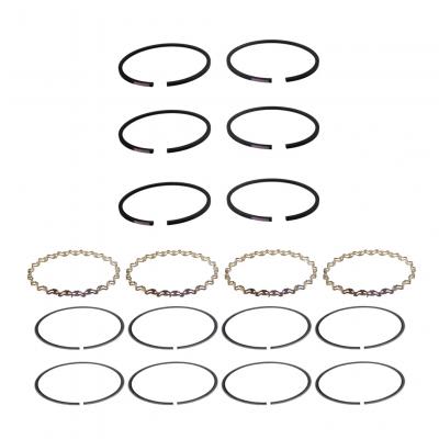 JUEGO DE ANILLOS COMPRESOR DE AIRE TU-FLO 1076391