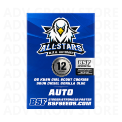 ALL STARS USA AUTO MIX-BSF SEEDS