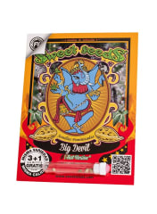 BIG DEVIL F1-SWEET SEEDS PACK 3+1