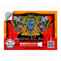 BIG DEVIL XL AUTO-SWEET SEEDS