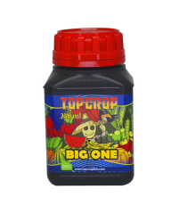 BIG ONE