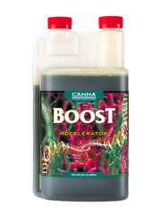 BOOST ACCELERATOR-CANNA
