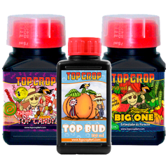 BUD PACK FERTILIZANTES-TOP CROP