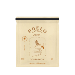CAFÉ ORIGINS COSTA RICA 250GR-PUELO