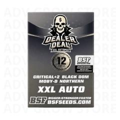 DEALER DEAL XXL AUTO MIX-BSF SEEDS