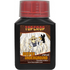 DEEPER UNDERGROUND
