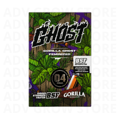 GORILLA GHOST FEM-BSF SEEDS