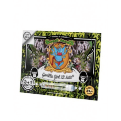 GORILLA GIRL XL AUTO-SWEET SEEDS PACK 3+1