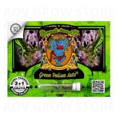 GREEN POISON AUTO-SWEET SEEDS