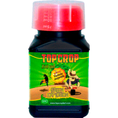 GREEN EXPLOSION-TOP CROP 250ML