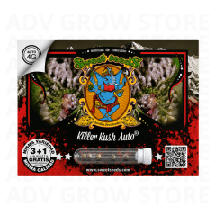 KILLER KUSH AUTO-SWEET SEEDS