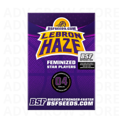 LEBRON HAZE FEM-BSF SEEDS
