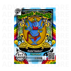 MENTAL RAINBOW F1-SWEET SEEDS