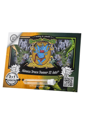 MIMOSA BRUCE BANNER XL AUTO-SWEET SEEDS PACK 3+1