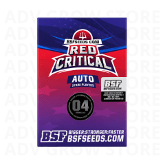 RED CRITICAL AUTO-BSF SEEDS