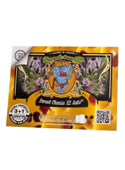 SWEET CHEESE XL AUTO-SWEET SEEDS PACK 3+1