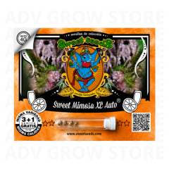 SWEET MIMOSA XL AUTO-SWEET SEEDS