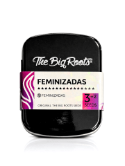 AMNESIA FEM-THE BIG ROOTS