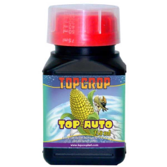 TOP AUTO