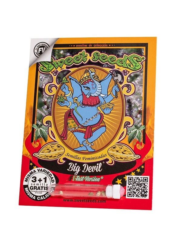 BIG DEVIL F1-SWEET SEEDS PACK 3+11