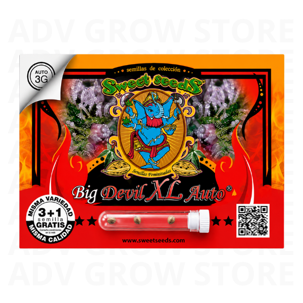 BIG DEVIL XL AUTO-SWEET SEEDS1