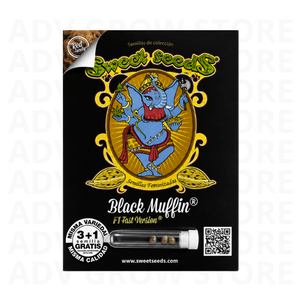 BLACK MUFFIN F1-SWEET SEEDS1