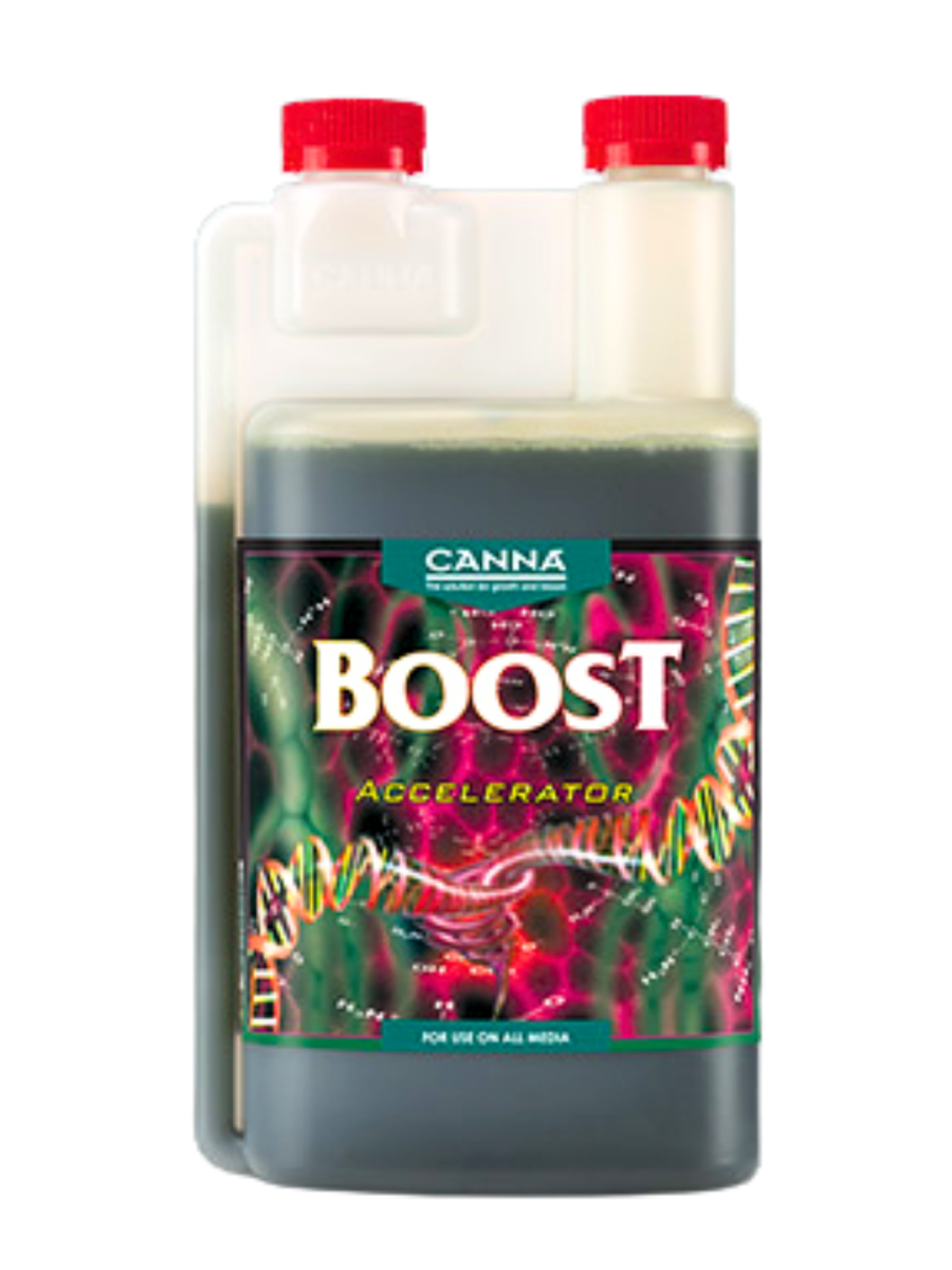 BOOST ACCELERATOR1