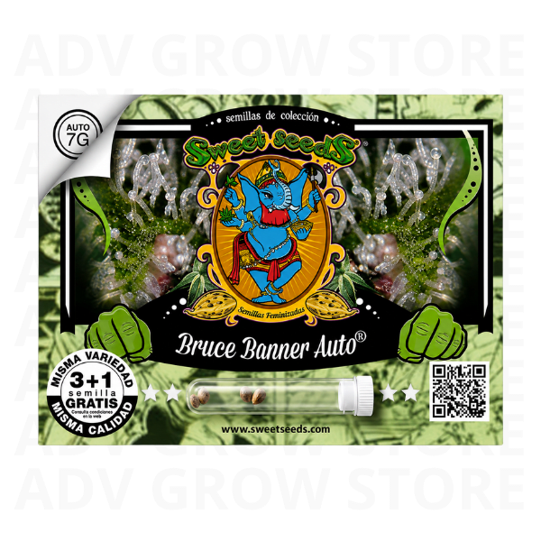 BRUCE BANNER AUTO-SWEET SEEDS1