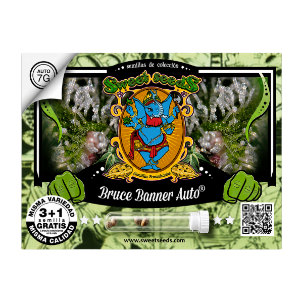 BRUCE BANNER AUTO-SWEET SEEDS PACK 3+11